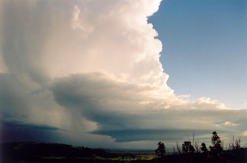 cumulonimbus supercell_thunderstorm : Meerschaum, NSW   20 October 2003