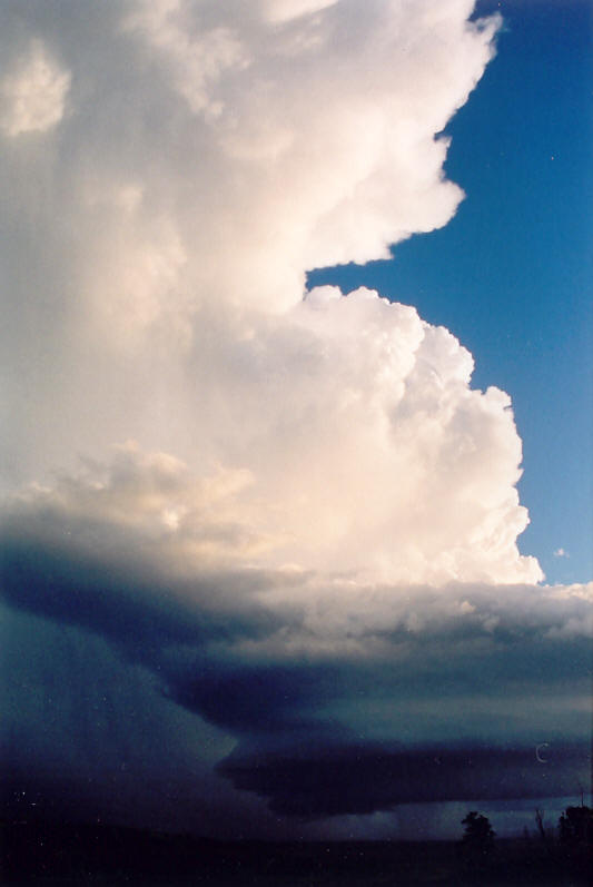 thunderstorm cumulonimbus_incus : Meerschaum, NSW   20 October 2003