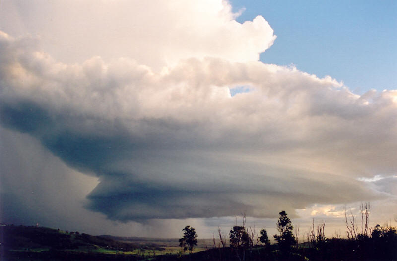 raincascade precipitation_cascade : Meerschaum, NSW   20 October 2003