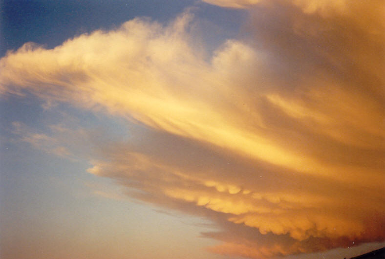 anvil thunderstorm_anvils : McLeans Ridges, NSW   20 October 2003