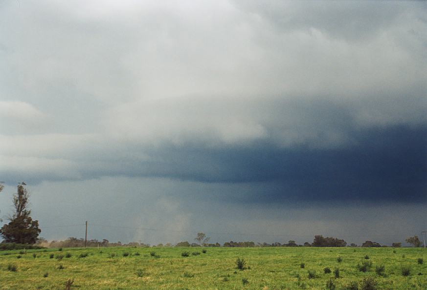 contributions received : Richmond, NSW<BR>Photo by Geoffrey Thurtell   25 October 2003