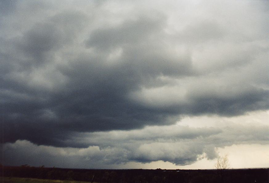 contributions received : Maroota, NSW<BR>Photo by Geoffrey Thurtell   25 October 2003