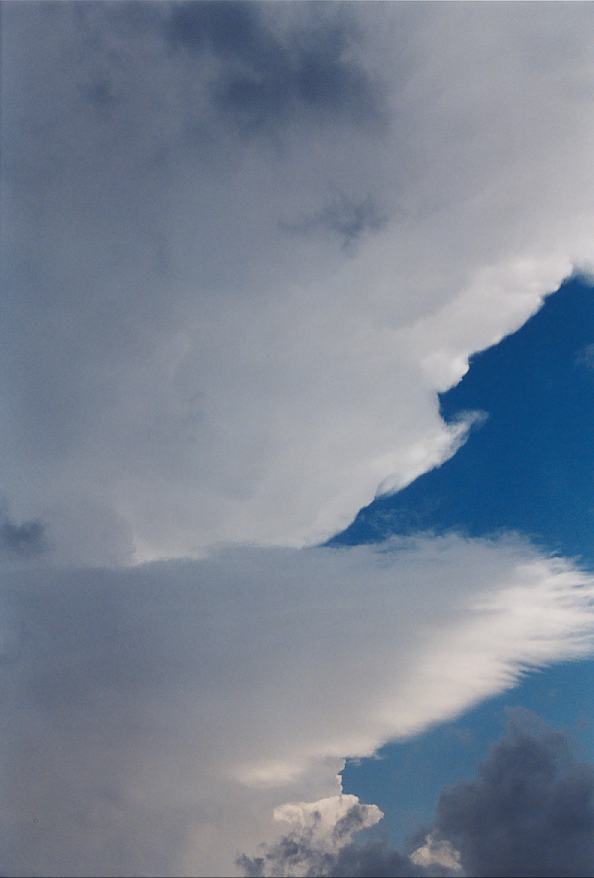 cumulonimbus supercell_thunderstorm : Schofields, NSW   25 October 2003