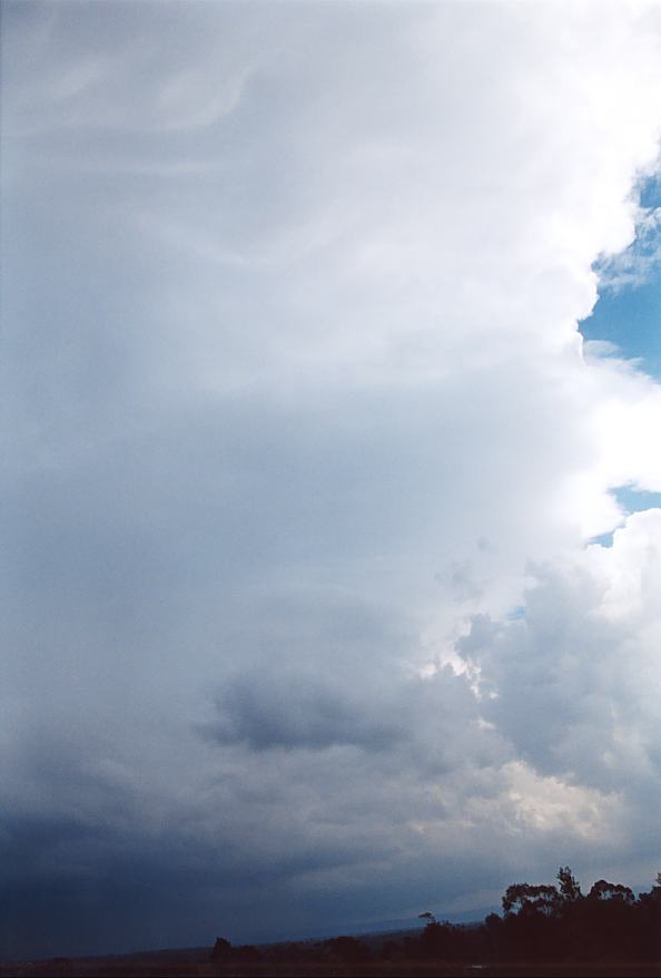 cumulonimbus supercell_thunderstorm : Riverstone, NSW   25 October 2003