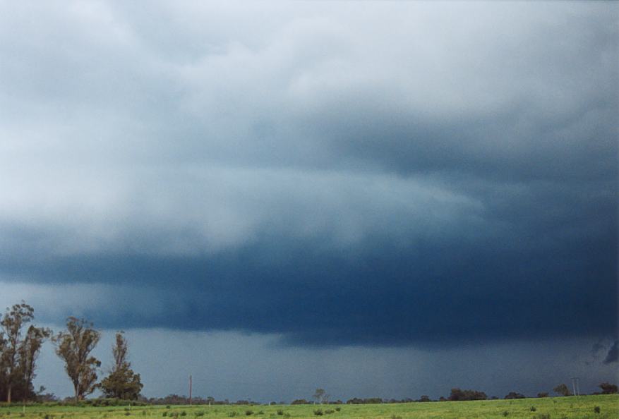 cumulonimbus thunderstorm_base : Richmond, NSW   25 October 2003