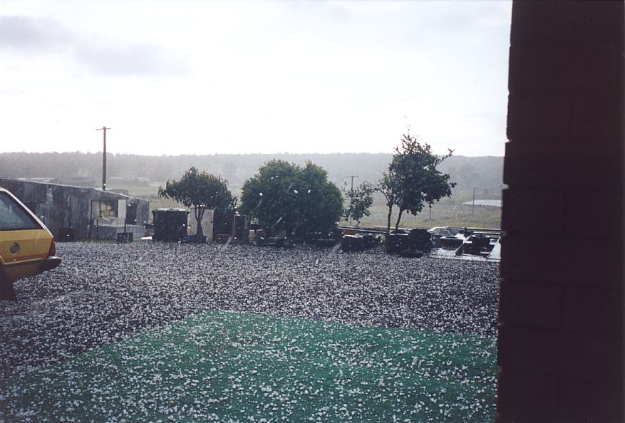 hailstones hail_stones : Schofields, NSW   25 October 2003