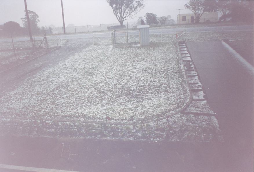 hailstones hail_stones : Schofields, NSW   25 October 2003