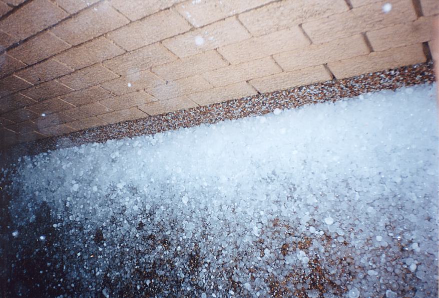 hailstones hail_stones : Schofields, NSW   25 October 2003