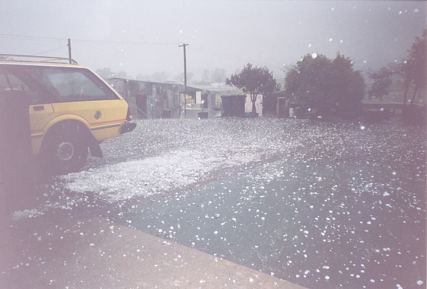 hailstones hail_stones : Schofields, NSW   25 October 2003