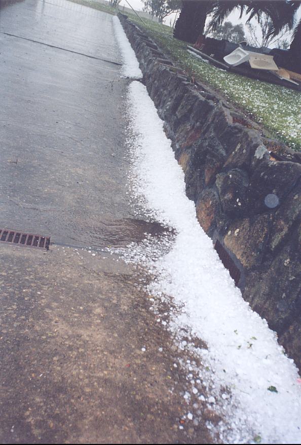 hailstones hail_stones : Schofields, NSW   25 October 2003