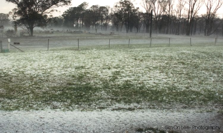 contributions received : Riverstone, NSW<BR>Photo by Simon Saliba   25 October 2003