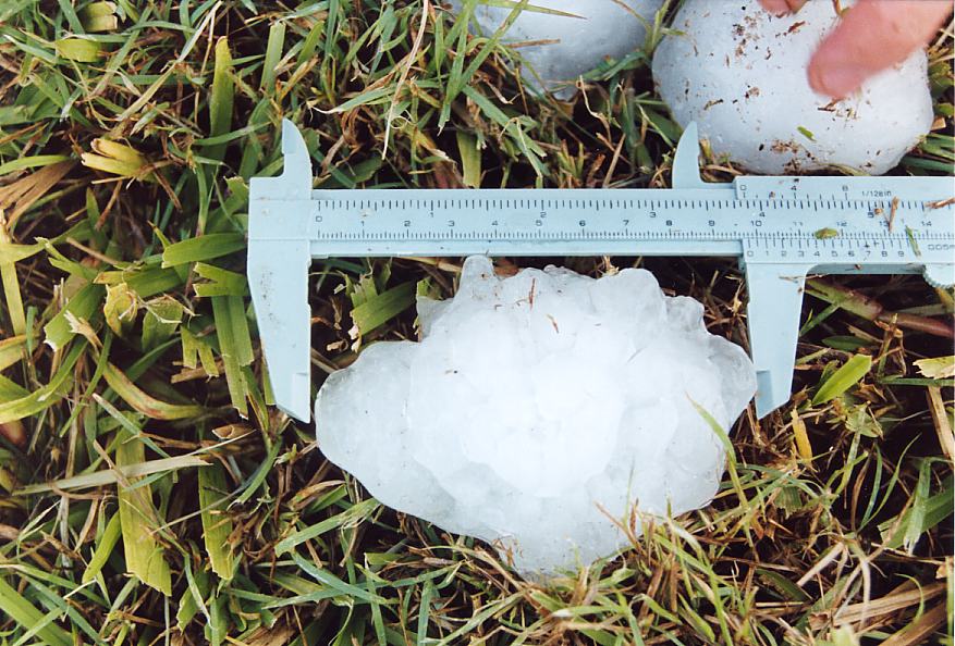 hailstones hail_stones : Tyndale, NSW   26 October 2003