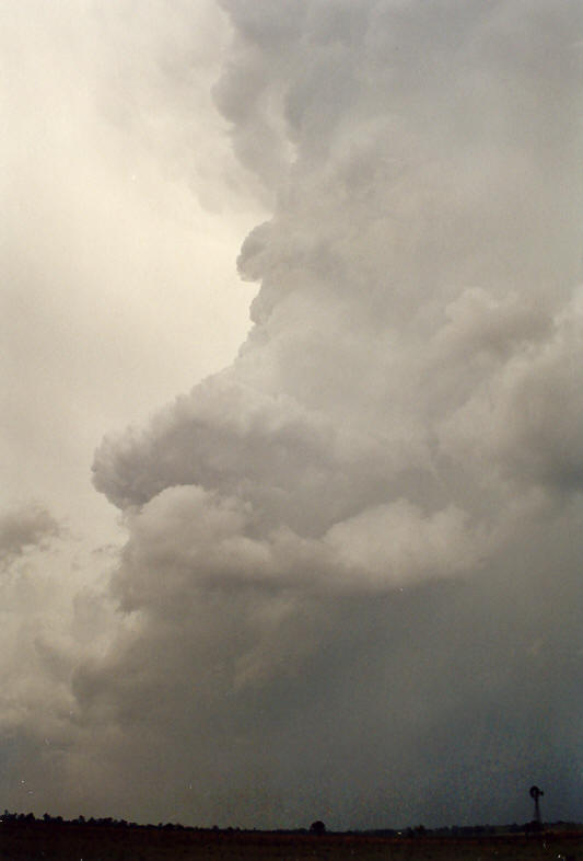updraft thunderstorm_updrafts : N of Casino, NSW   26 October 2003