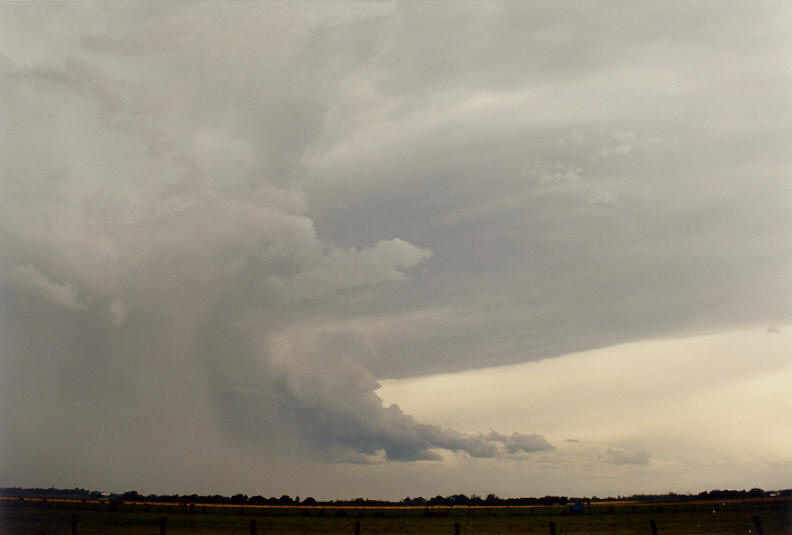 updraft thunderstorm_updrafts : N of Casino, NSW   26 October 2003