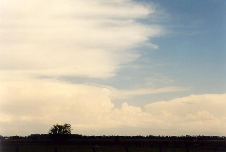 thunderstorm cumulonimbus_incus : N of Casino, NSW   26 October 2003