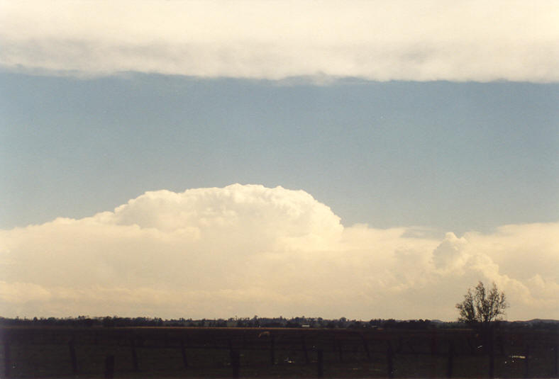 thunderstorm cumulonimbus_incus : N of Casino, NSW   26 October 2003