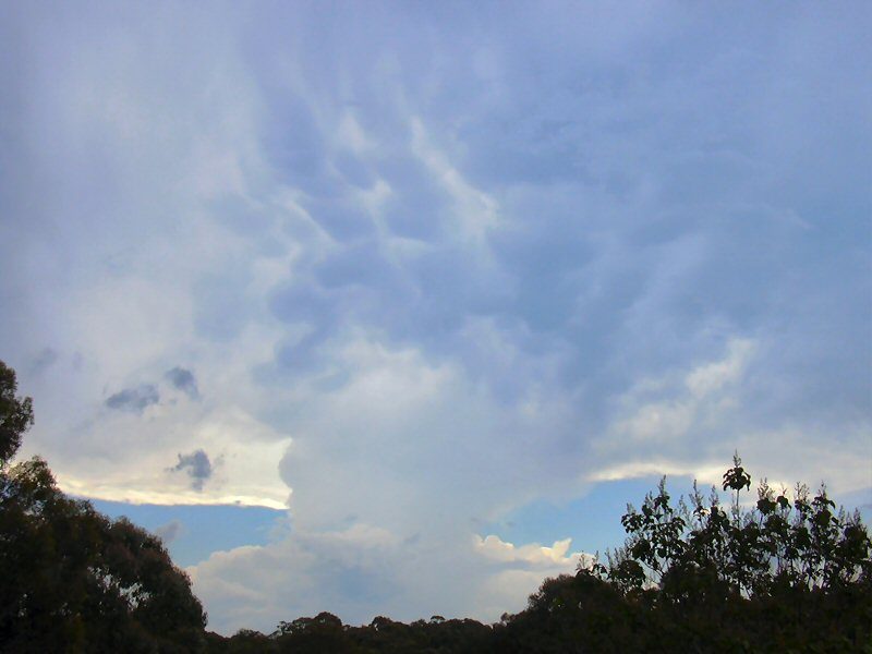 contributions received : Buxton, NSW<BR>Photo by Petar Belobrajdic   10 November 2003