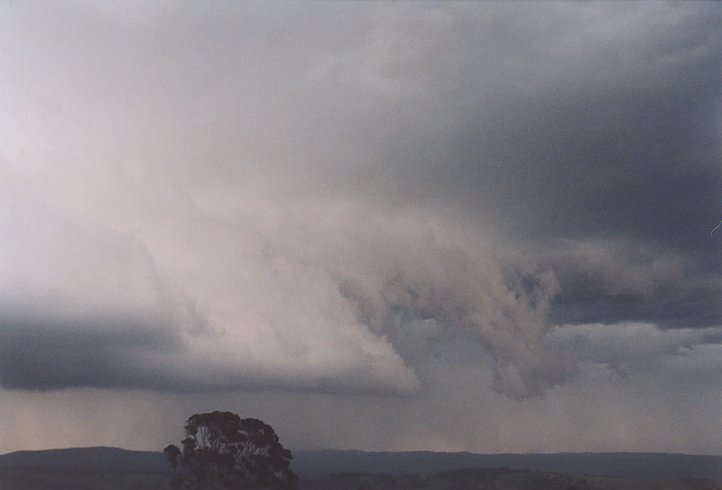 contributions received : Mt Lambie, NSW<BR>Photo by Geoff Thurtell   16 November 2003