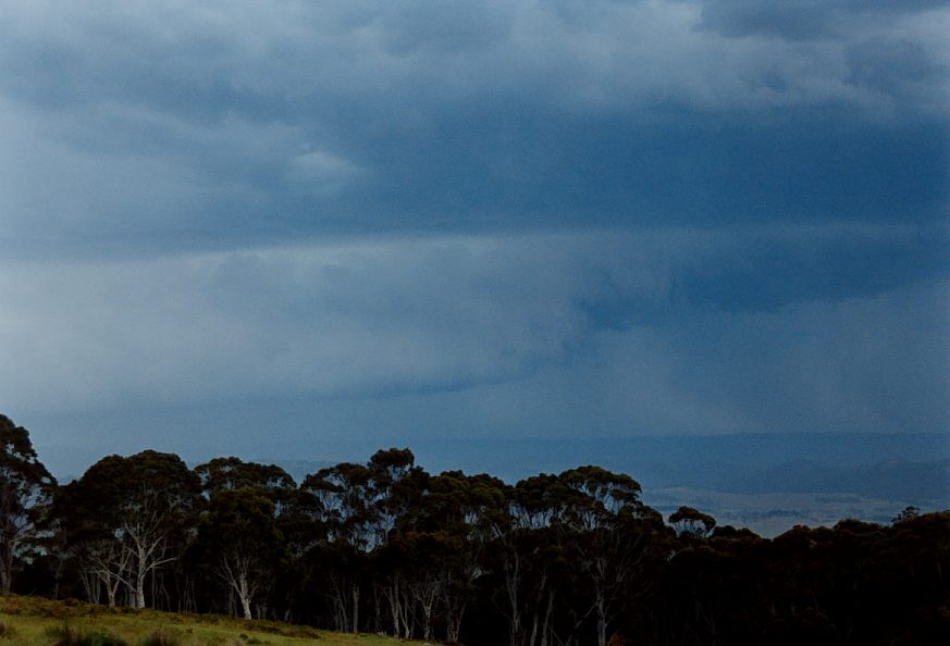 shelfcloud shelf_cloud : Mt Lambie, NSW   16 November 2003