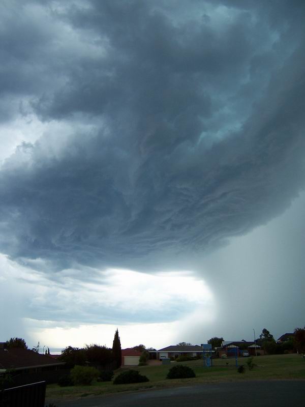 contributions received : Hallett Cove, SA<BR>Photo by Sharon Hayes   19 November 2003