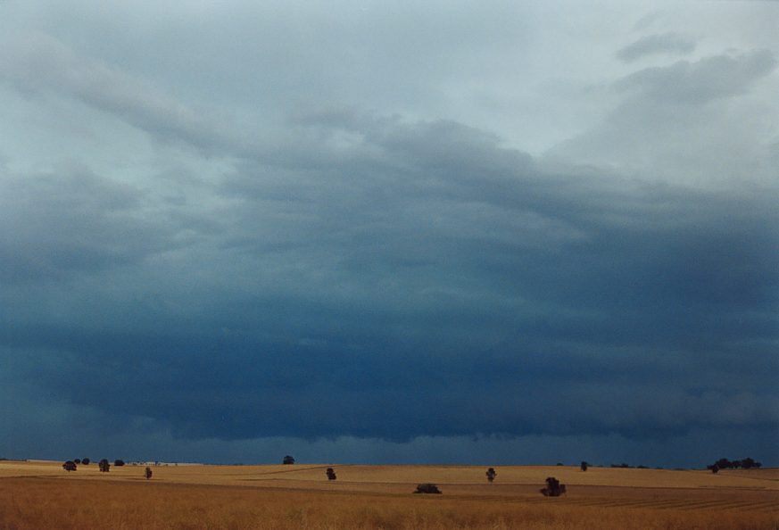 cumulonimbus thunderstorm_base : Temora, NSW   21 November 2003