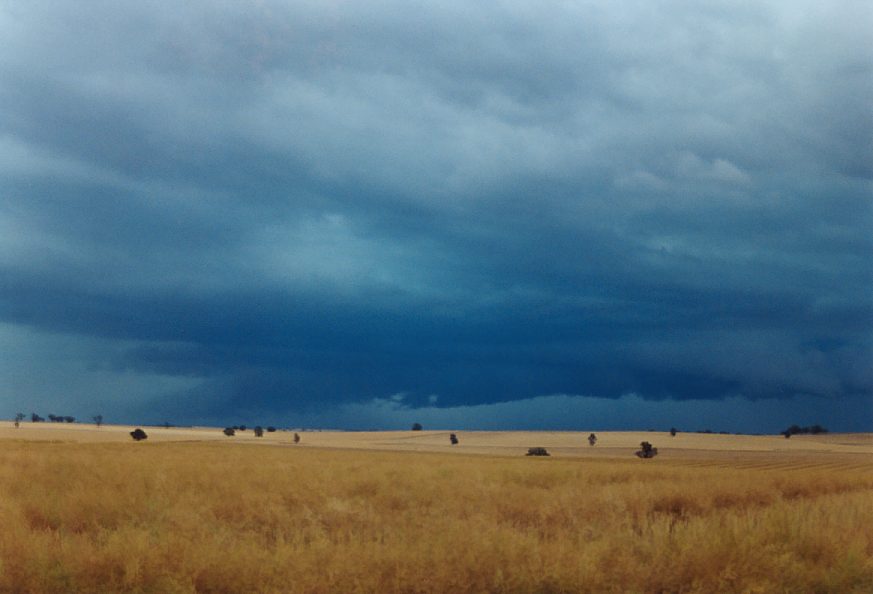 cumulonimbus supercell_thunderstorm : Temora, NSW   21 November 2003