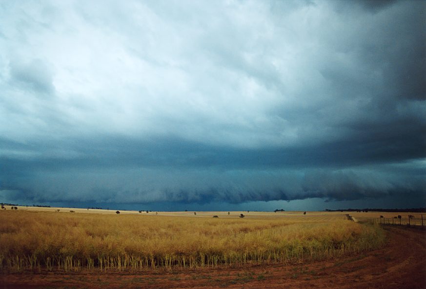 cumulonimbus supercell_thunderstorm : Temora, NSW   21 November 2003