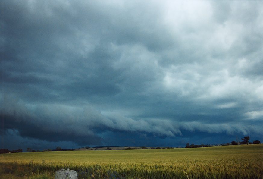 cumulonimbus thunderstorm_base : Temora, NSW   21 November 2003