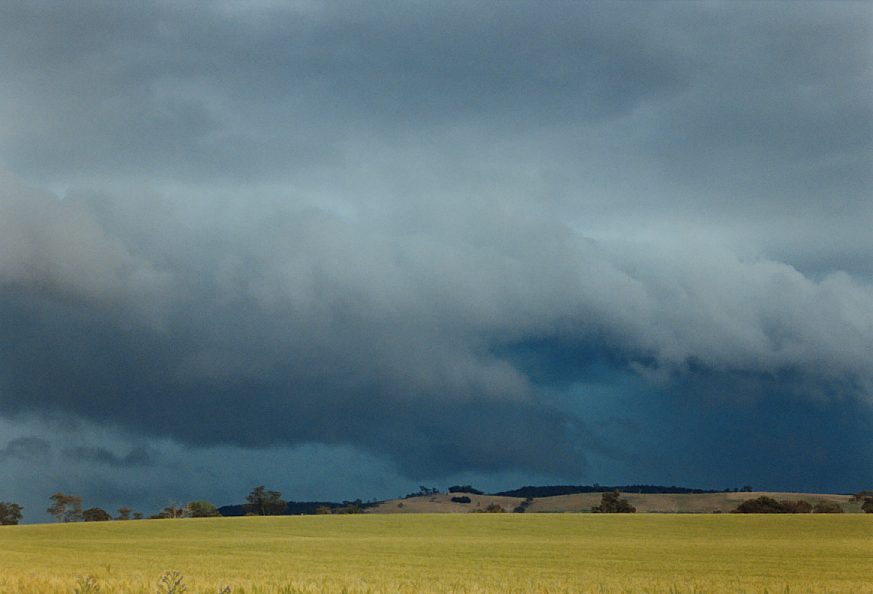 cumulonimbus supercell_thunderstorm : Temora, NSW   21 November 2003