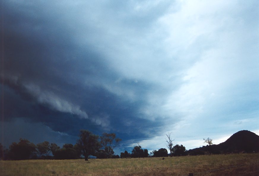 shelfcloud shelf_cloud : E of Mullaley, NSW   22 November 2003