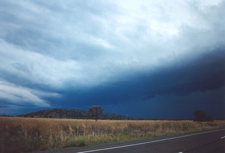 cumulonimbus supercell_thunderstorm : E of Mullaley, NSW   22 November 2003