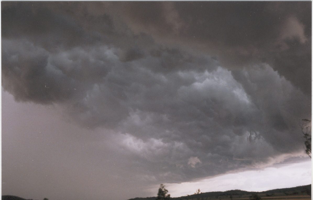 contributions received : E of Mullaley, NSW<BR>Photo by Maarten Brandt   22 November 2003