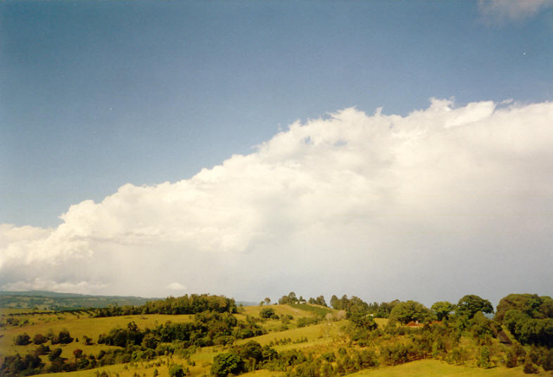 thunderstorm cumulonimbus_incus : McLeans Ridges, NSW   23 November 2003