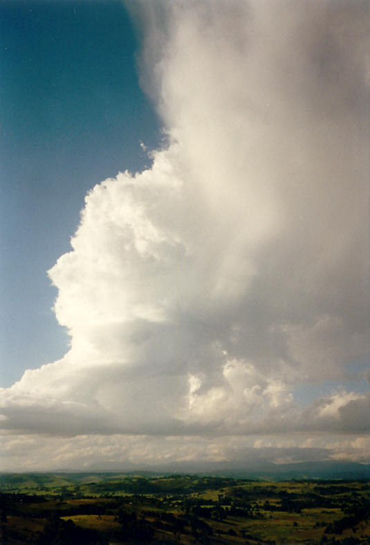 updraft thunderstorm_updrafts : McLeans Ridges, NSW   23 November 2003