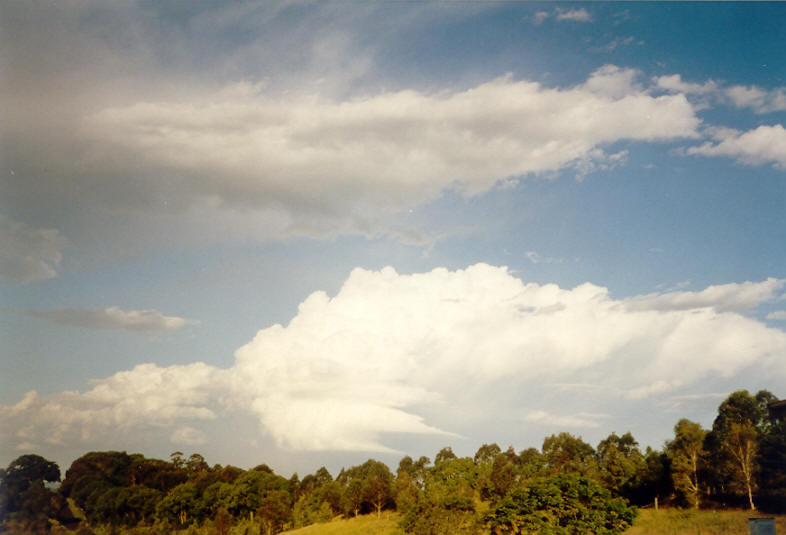 thunderstorm cumulonimbus_incus : McLeans Ridges, NSW   23 November 2003