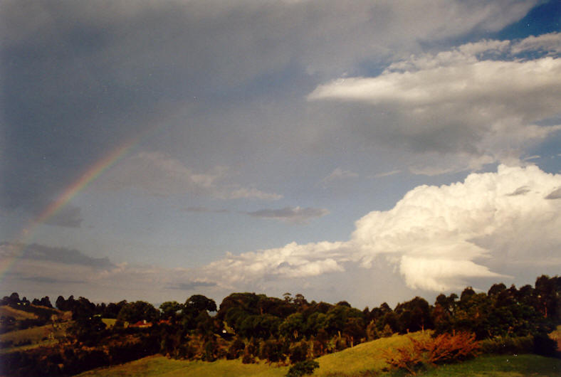 inflowband thunderstorm_inflow_band : McLeans Ridges, NSW   23 November 2003