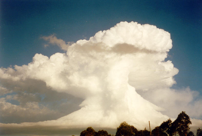 thunderstorm cumulonimbus_incus : McLeans Ridges, NSW   23 November 2003