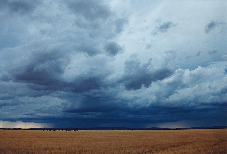 cumulonimbus thunderstorm_base : N of Griffith, NSW   1 December 2003