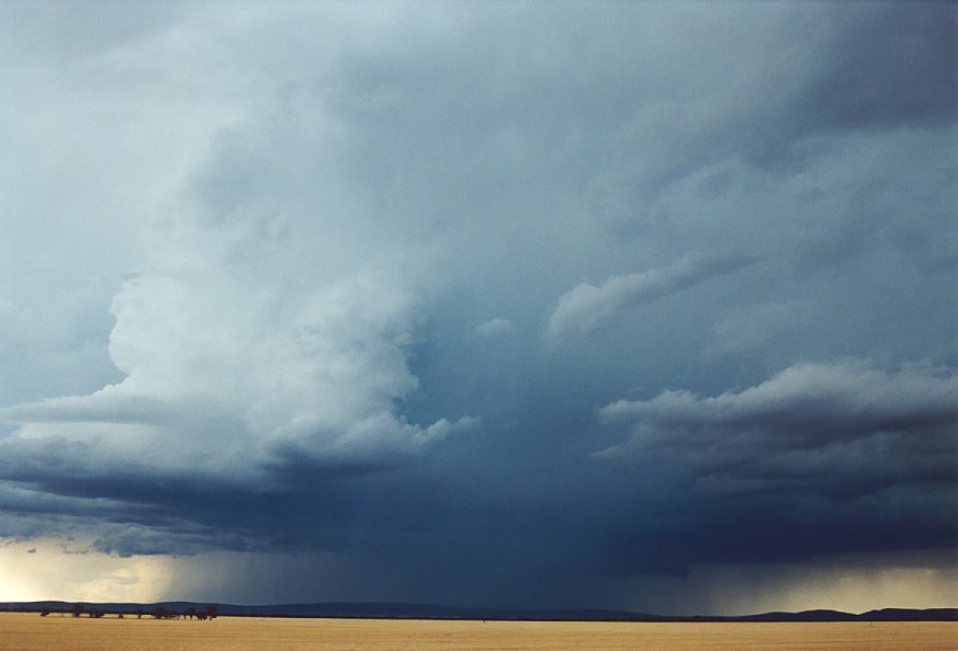 thunderstorm cumulonimbus_incus : N of Griffith, NSW   1 December 2003