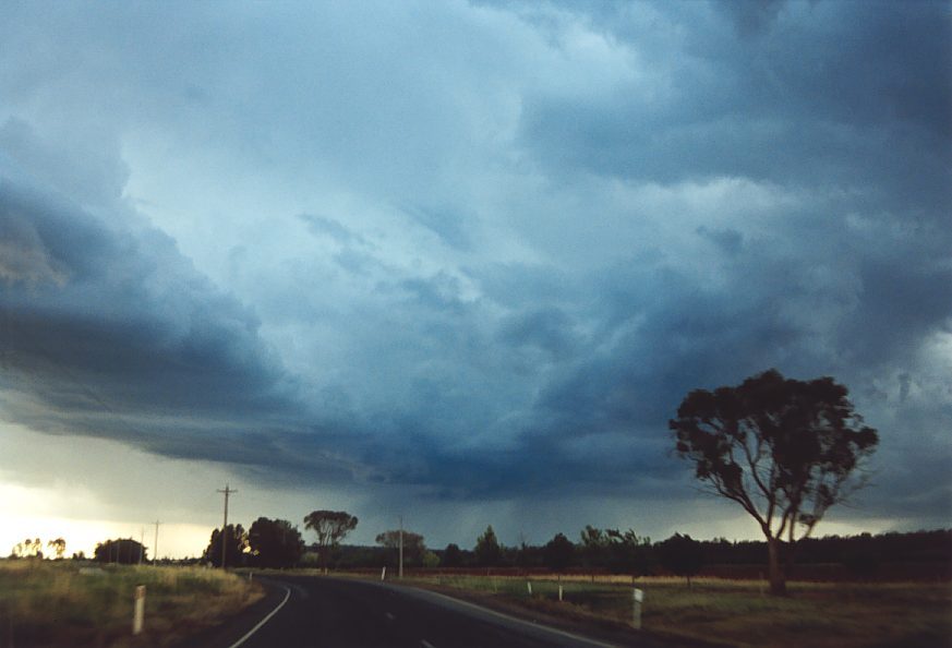 cumulonimbus thunderstorm_base : N of Griffith, NSW   1 December 2003