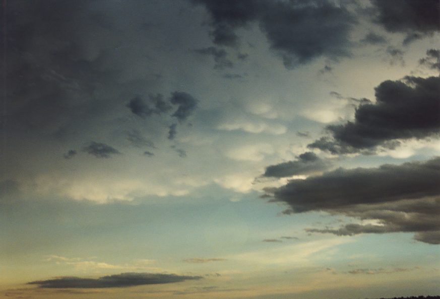 mammatus mammatus_cloud : south Griffith, NSW   1 December 2003