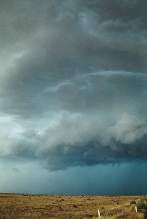 cumulonimbus thunderstorm_base : N of Hay, NSW   2 December 2003