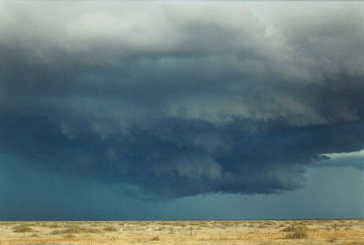 cumulonimbus thunderstorm_base : N of Hay, NSW   2 December 2003