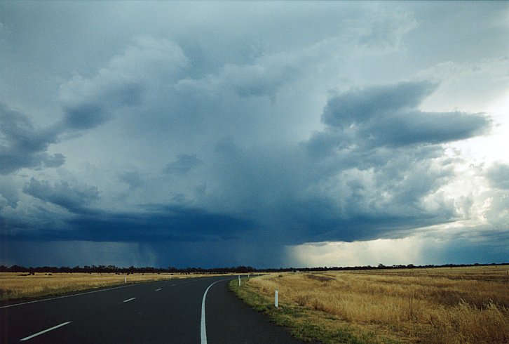 cumulonimbus thunderstorm_base : E of Hay, NSW   3 December 2003