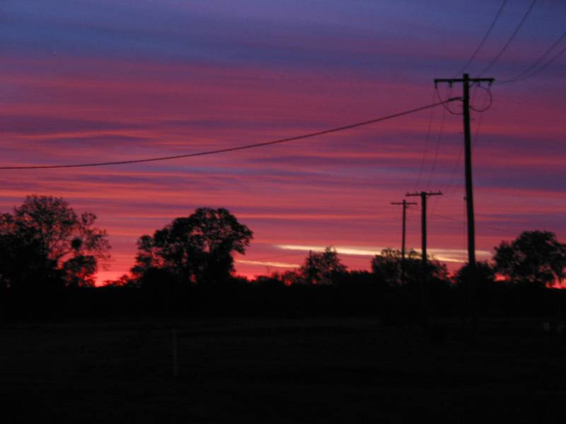 contributions received : Eulo, QLD<BR>Photo by Jeff   27 December 2003