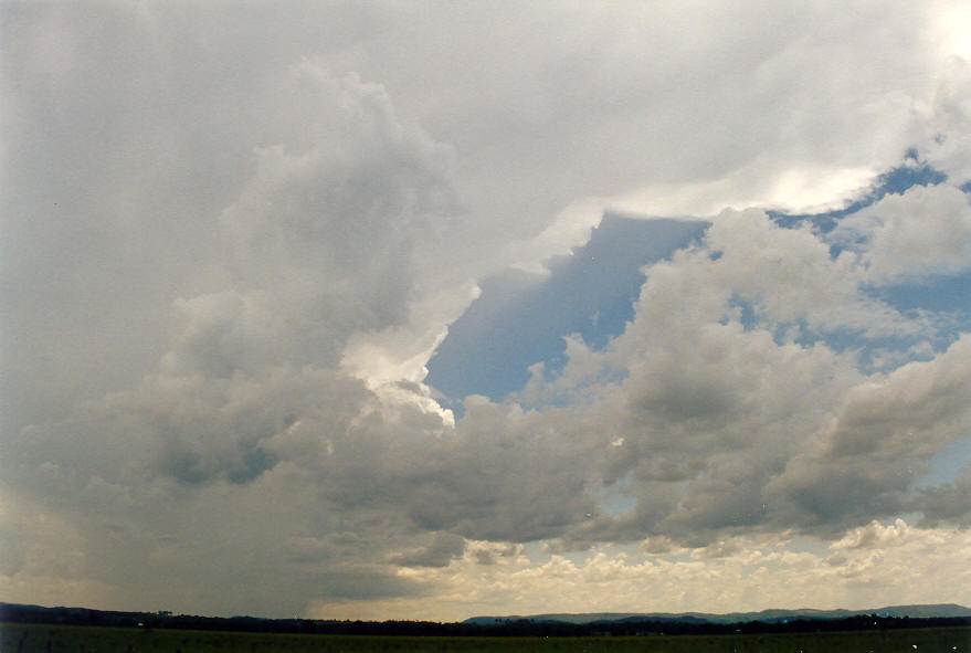 anvil thunderstorm_anvils : Parrots Nest, NSW   24 January 2004