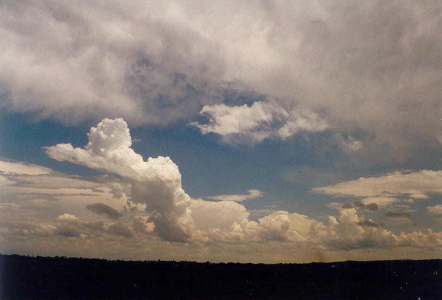 cumulus congestus : Parrots Nest, NSW   24 January 2004