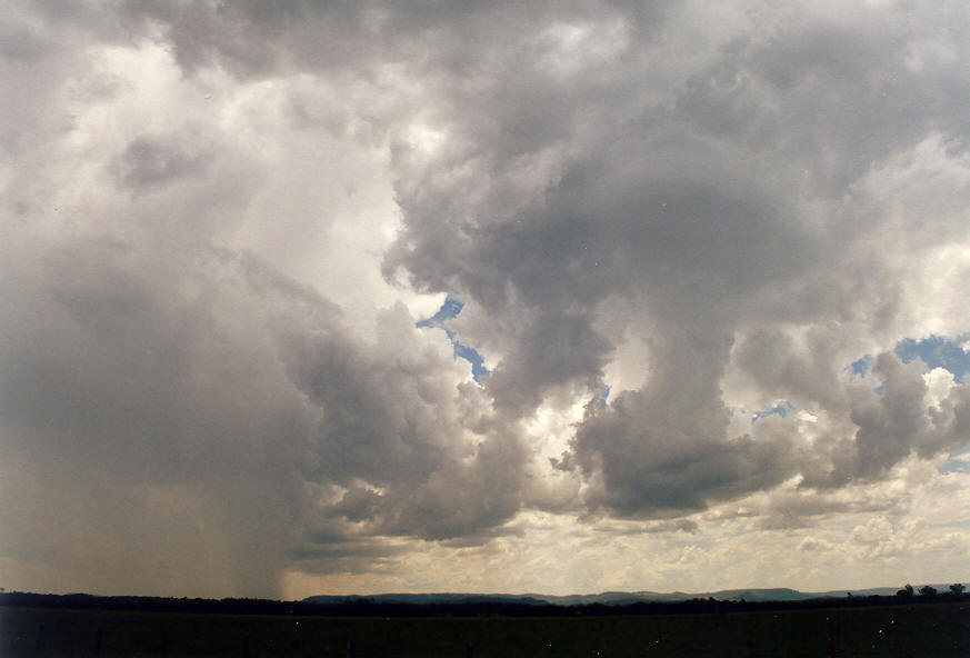 cumulonimbus thunderstorm_base : Parrots Nest, NSW   24 January 2004