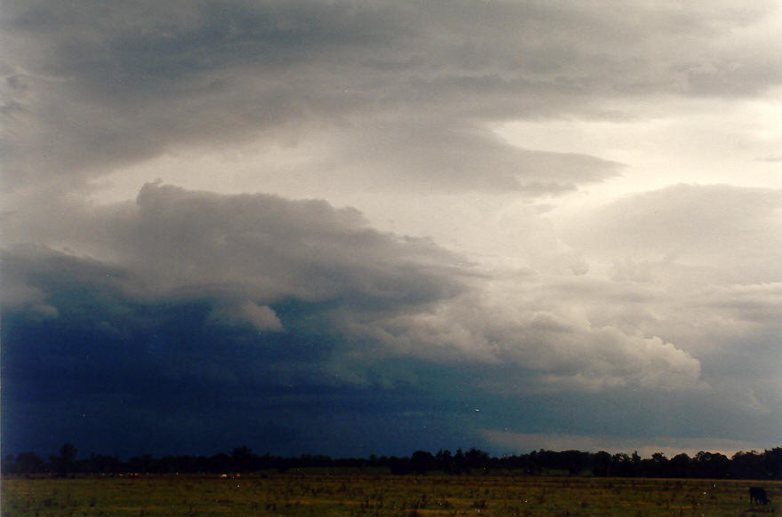 cumulonimbus thunderstorm_base : Coraki, NSW   24 January 2004