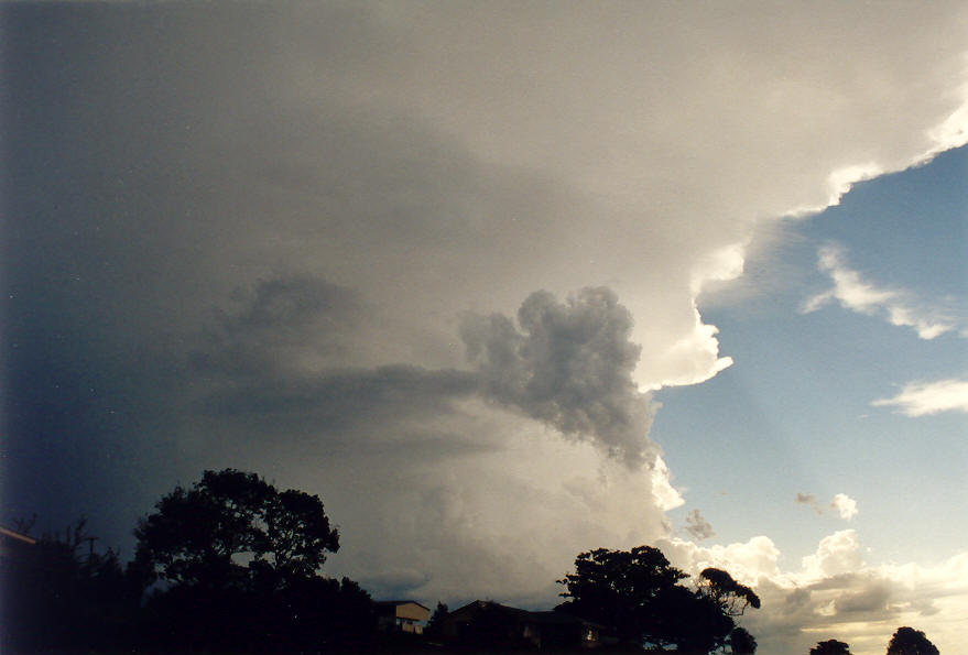 updraft thunderstorm_updrafts : McLeans Ridges, NSW   25 January 2004
